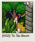 [HGS] Tic Tac Boum
