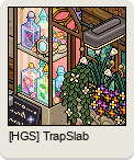 [HGS] TrapSlab