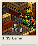 [HGS] Damier