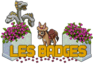 Image Les badges