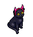 LTD Salem le chat noir