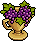Decadent Grapes
