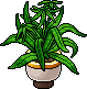 Vase dark