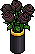 Vase dark