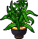 Vase dark