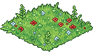 ranch_c26_freshgrass