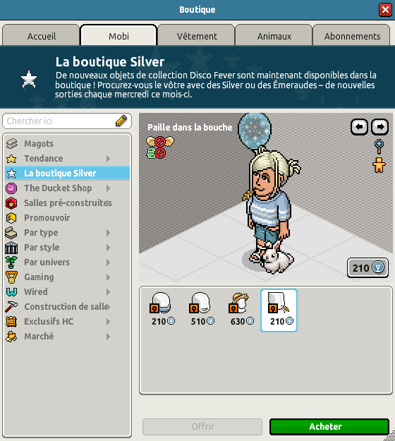 Boutique silver du catalogue